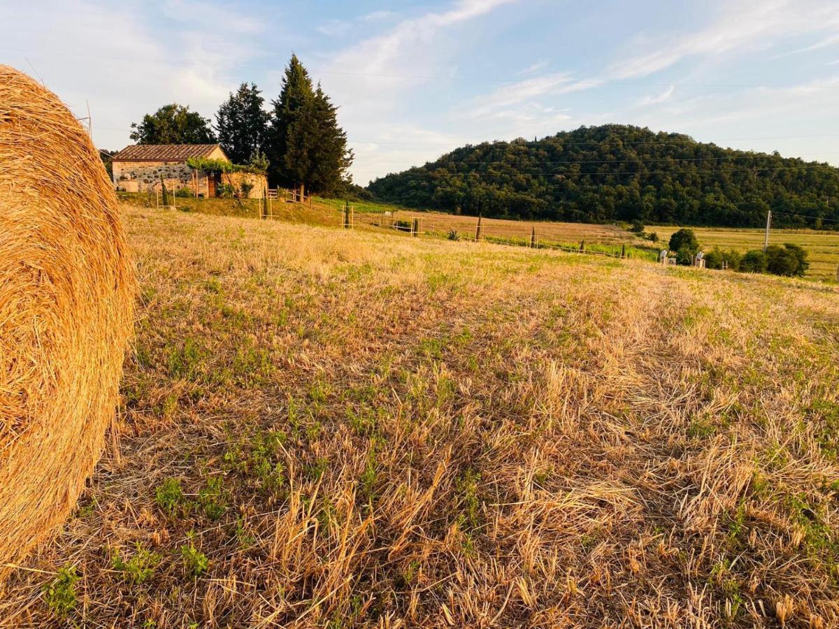 Podere La Selva 라폴라노테르메 외부 사진