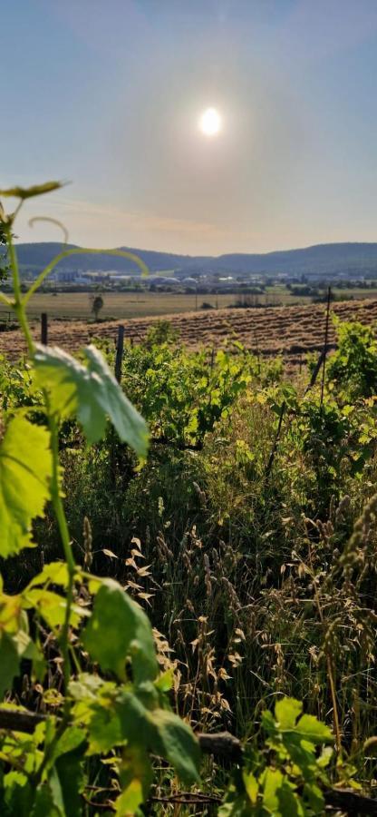 Podere La Selva 라폴라노테르메 외부 사진